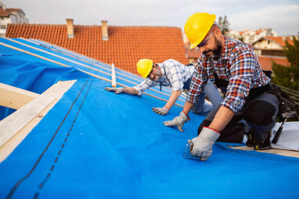 Residential Roof Replacement in Dundee, FL
